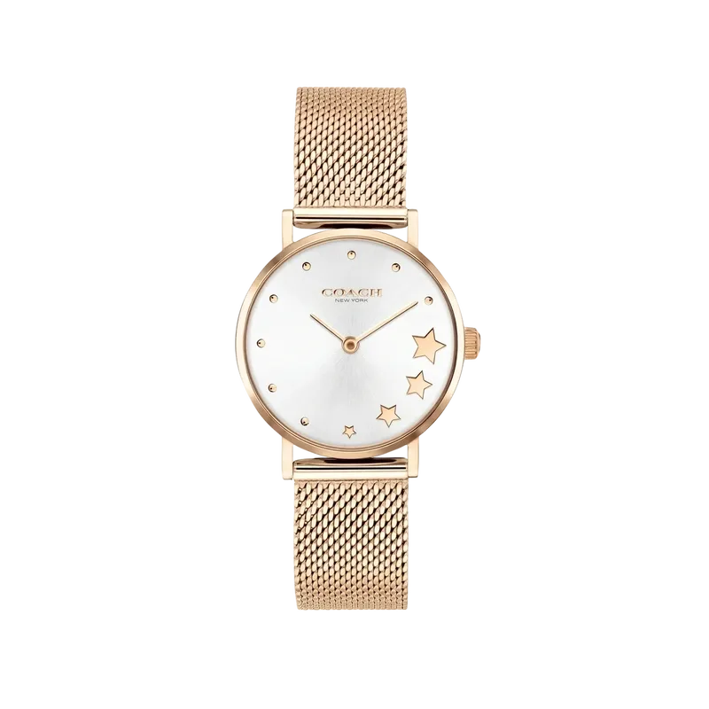 Perry Watch Silver