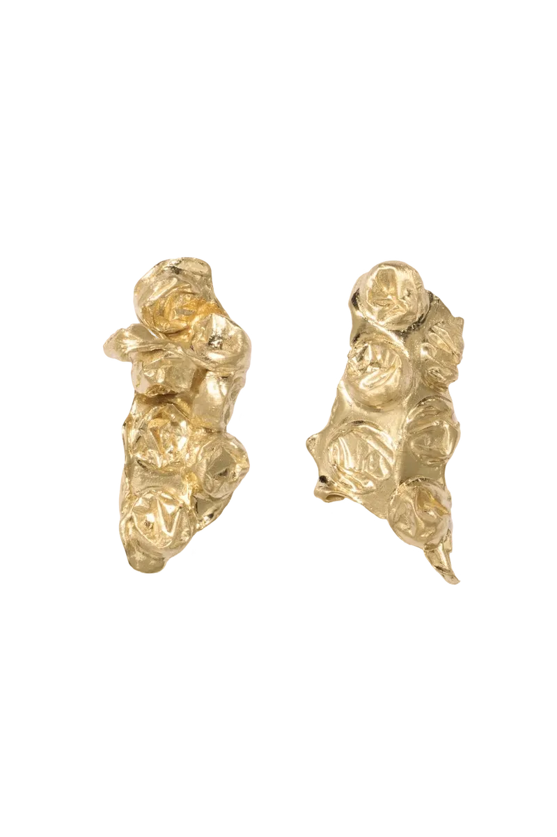 The Bit of Bubble Wrap That Got Stuck in the Vacuum - Gold Vermeil Earrings